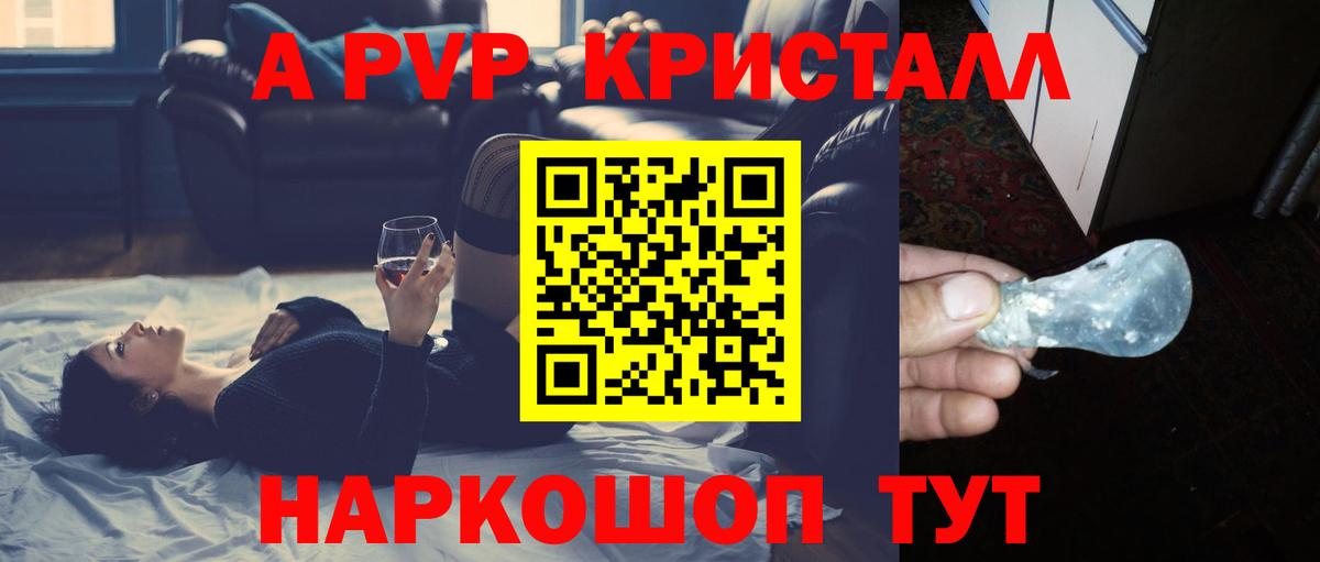 Alfa_PVP СК Камышин
