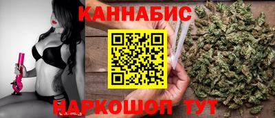 стафф Краснознаменск