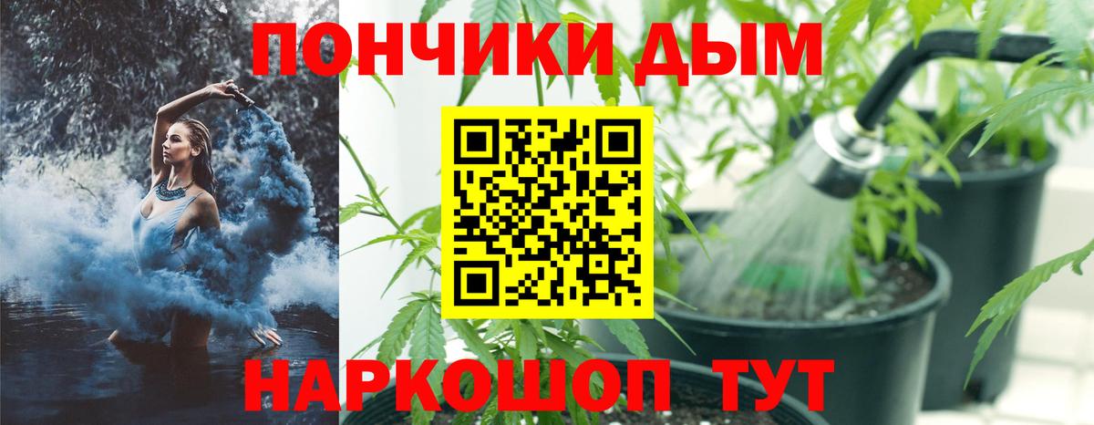 Канабис семена Камышин